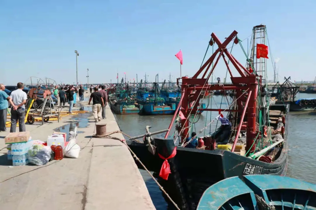 東港，開海了！海鮮批發海鮮零售請找仟貝福